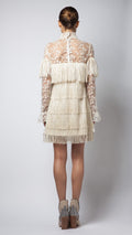 Embroidered Lace Fringe Tulle Dress