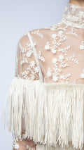 Embroidered Lace Fringe Tulle Dress